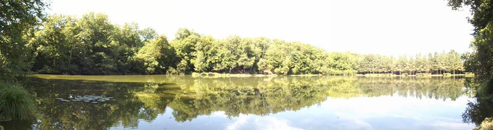 Lac De Lion Panorama